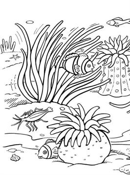 150 Coral Coloring Pages Printable 10