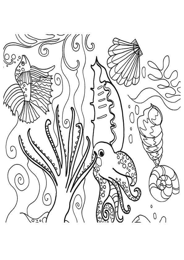 150 Coral Coloring Pages Printable 102