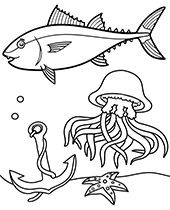 150 Coral Coloring Pages Printable 107