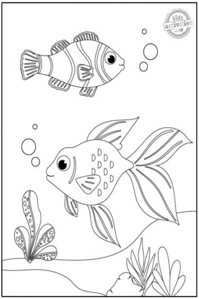 150 Coral Coloring Pages Printable 113