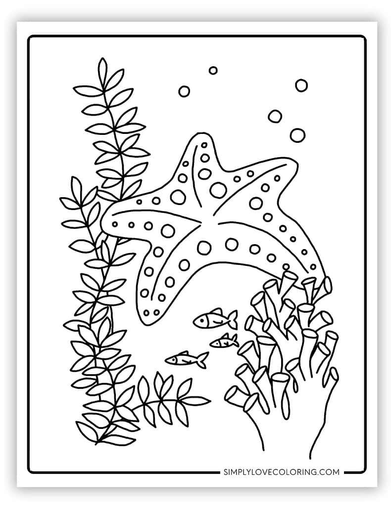 150 Coral Coloring Pages Printable 114