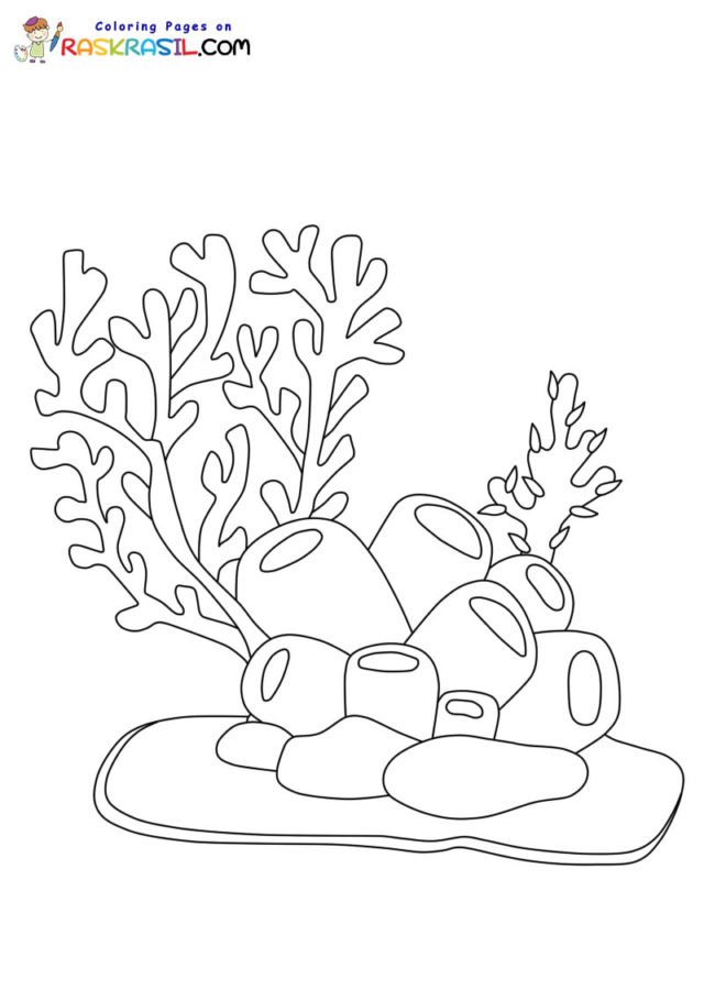 150 Coral Coloring Pages Printable 116