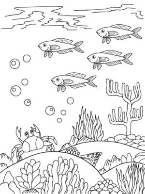 150 Coral Coloring Pages Printable 119