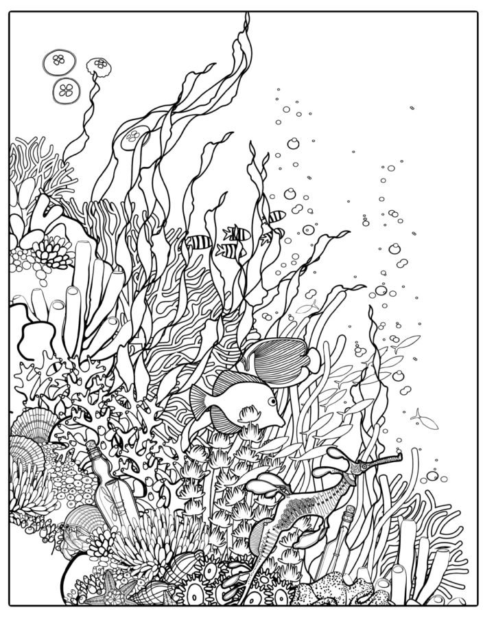 150 Coral Coloring Pages Printable 12