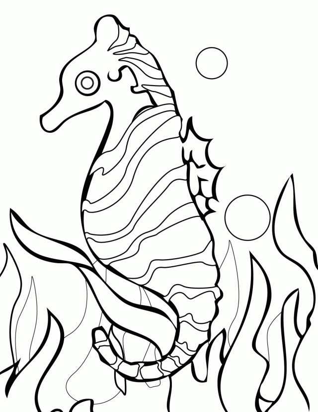 150 Coral Coloring Pages Printable 125