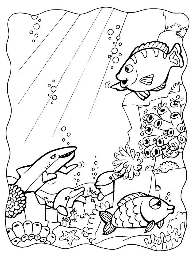 150 Coral Coloring Pages Printable 128