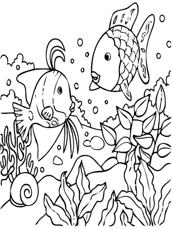 150 Coral Coloring Pages Printable 130