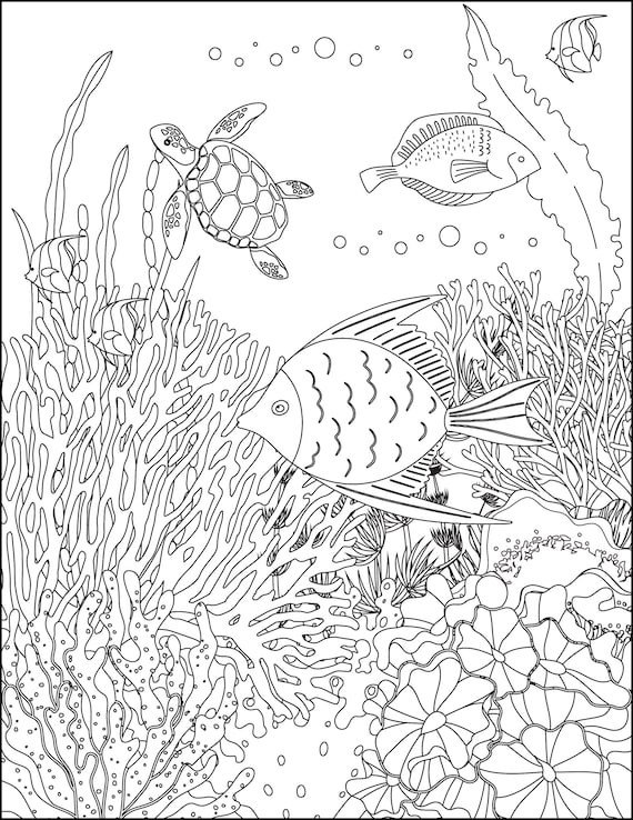 150 Coral Coloring Pages Printable 132