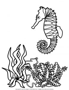 150 Coral Coloring Pages Printable 136