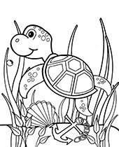 150 Coral Coloring Pages Printable 138