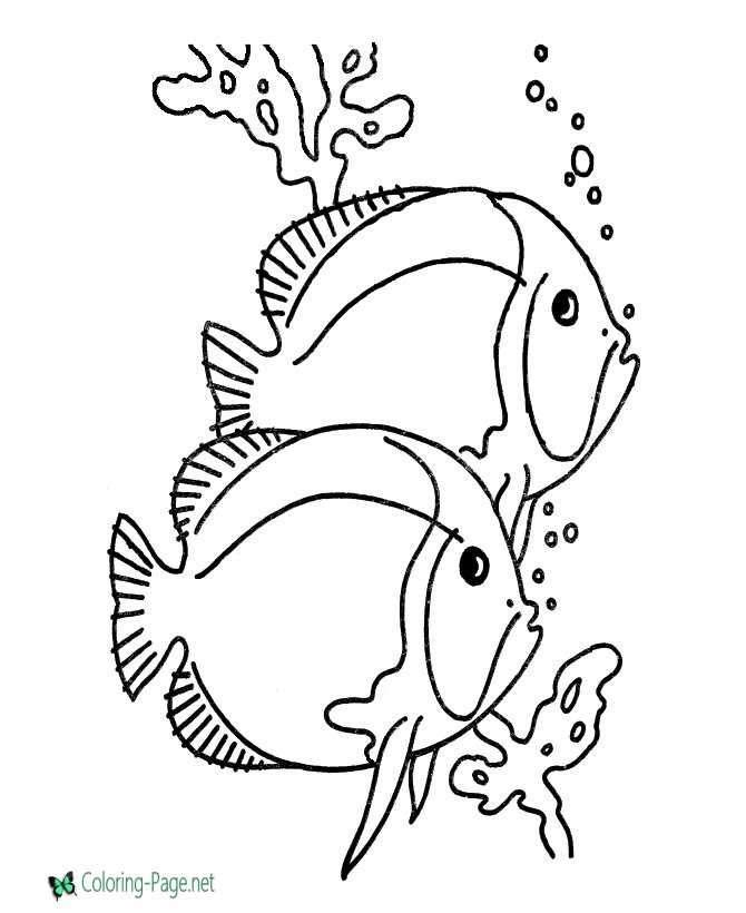 150 Coral Coloring Pages Printable 140