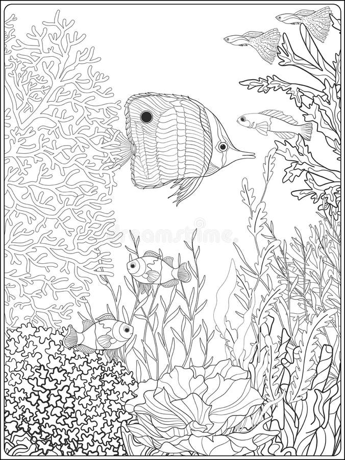 coral coloring pages printable jpg