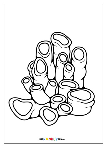 coral coloring pages printable jpg