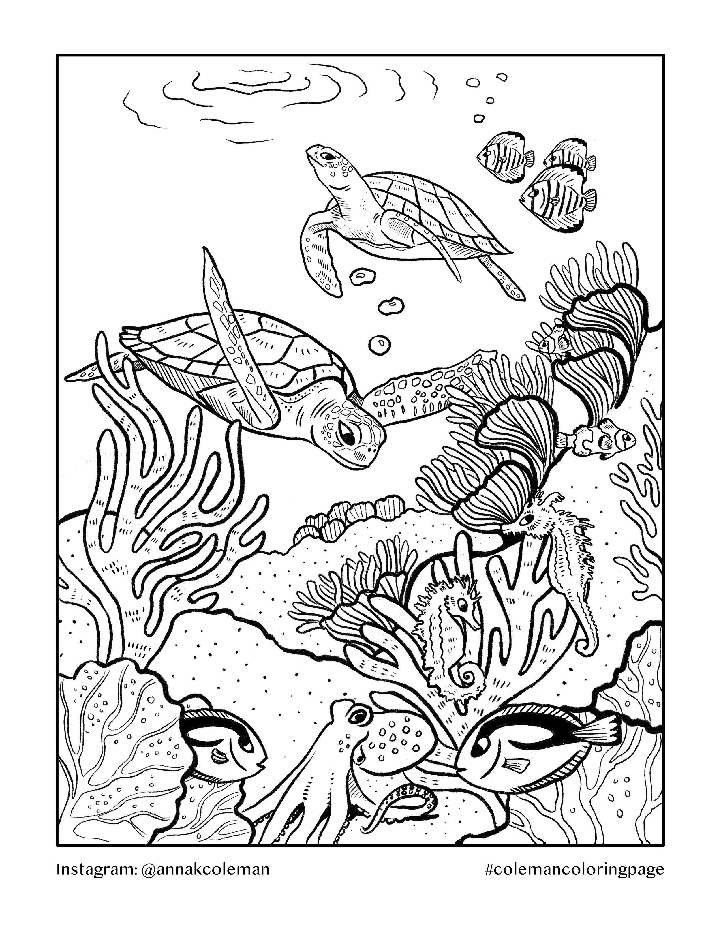 150 Coral Coloring Pages Printable 16