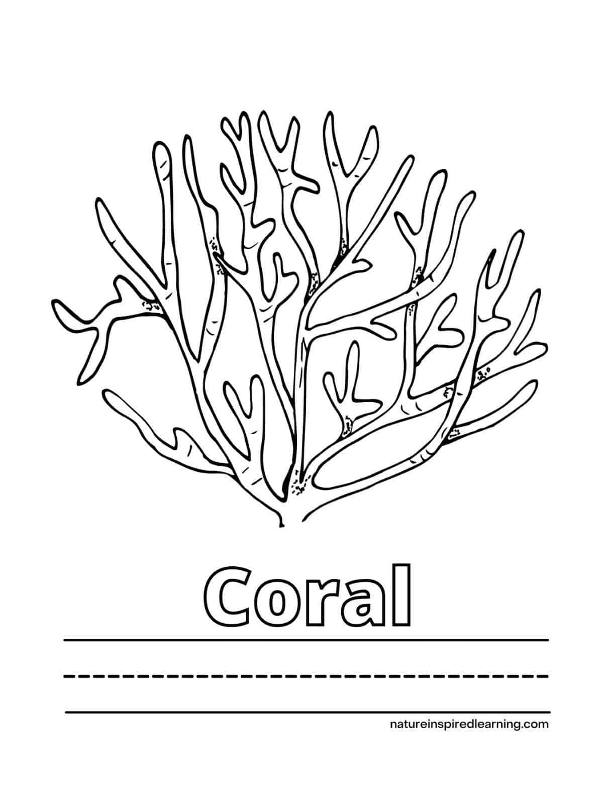 150 Coral Coloring Pages Printable 18