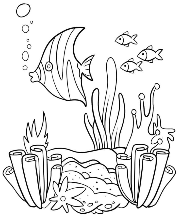 150 Coral Coloring Pages Printable 2