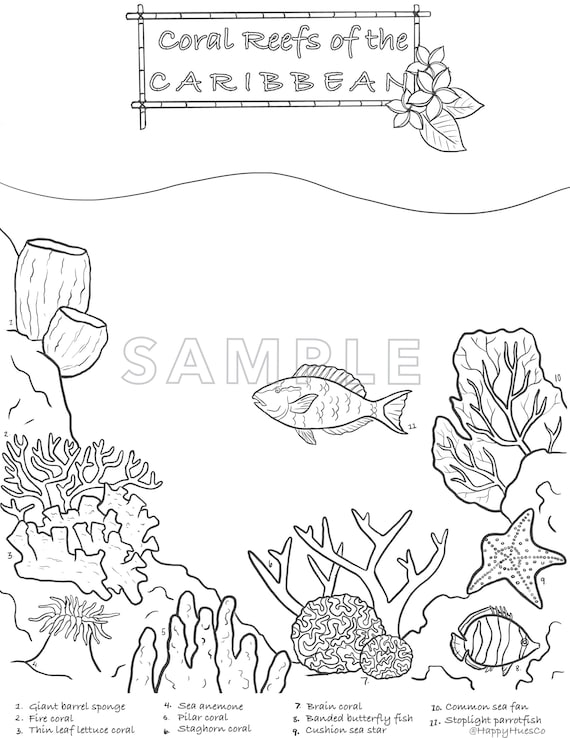 150 Coral Coloring Pages Printable 26