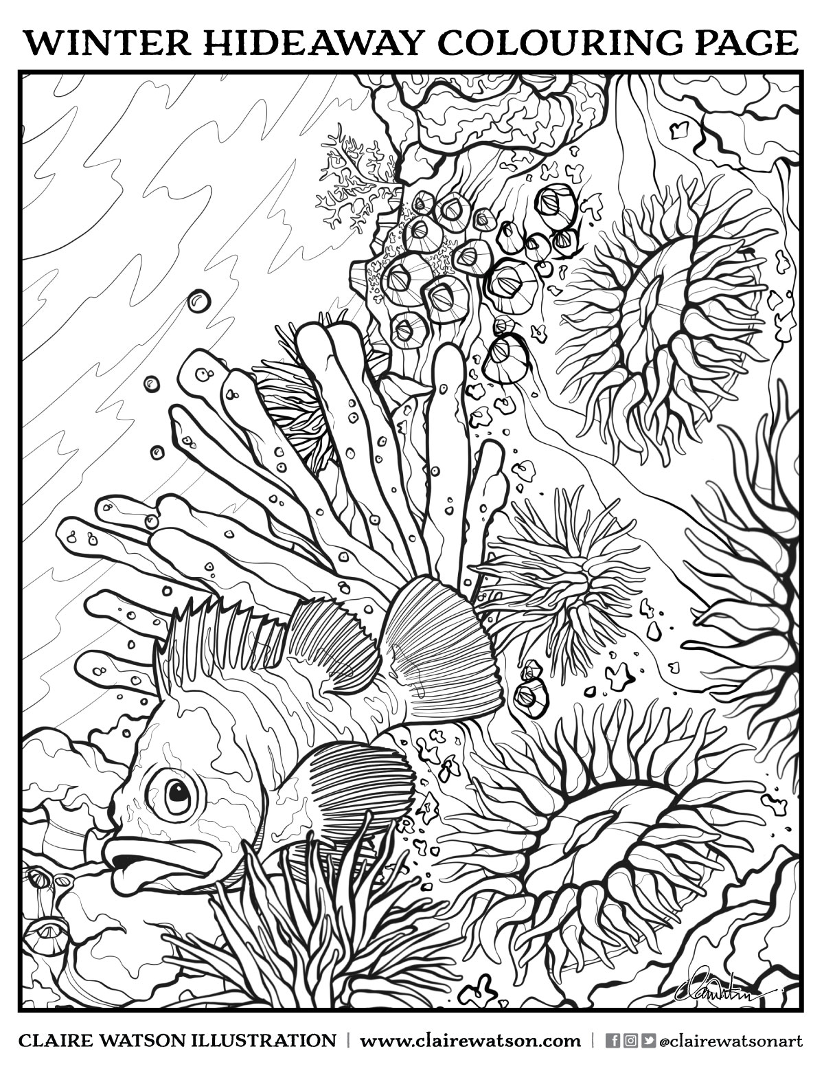 150 Coral Coloring Pages Printable 27