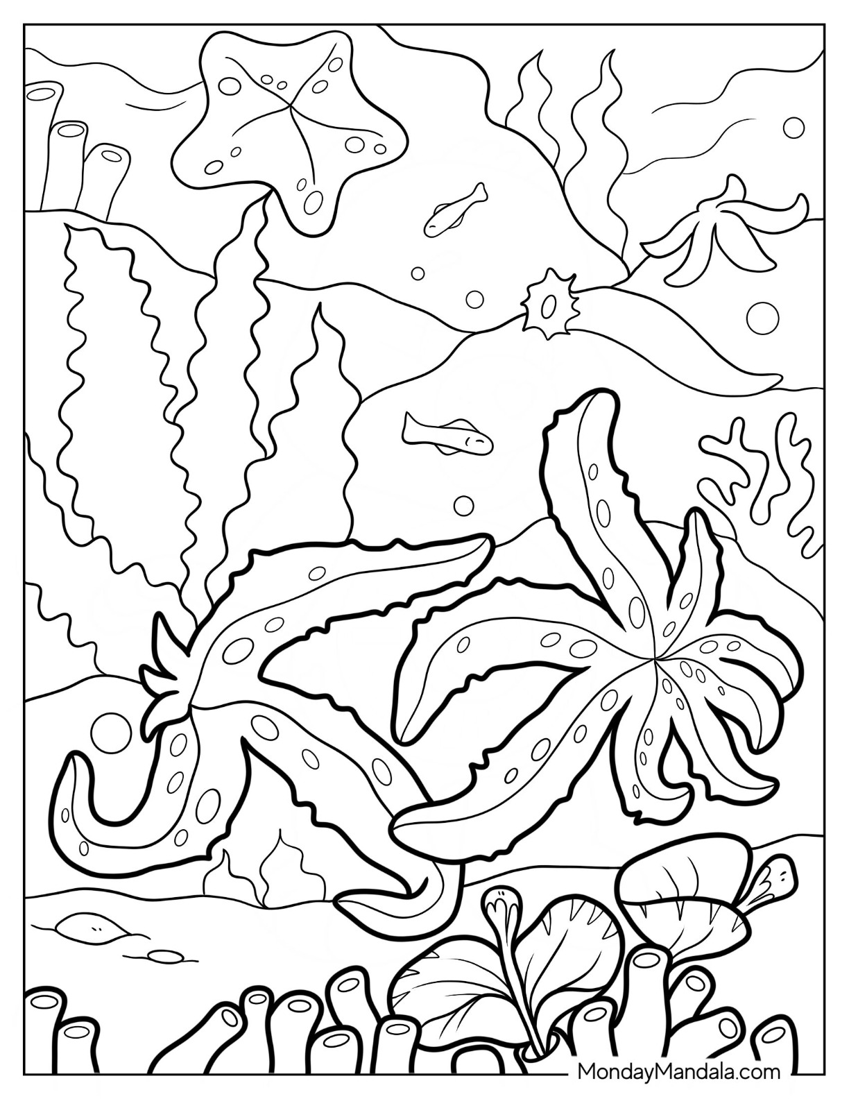 150 Coral Coloring Pages Printable 28