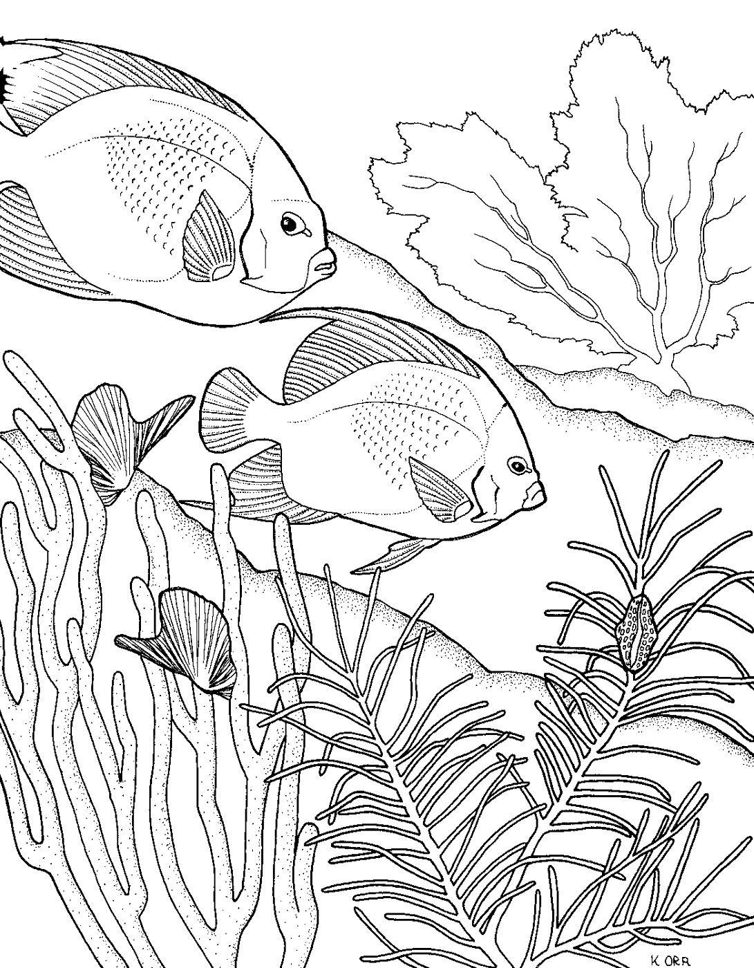 150 Coral Coloring Pages Printable 31