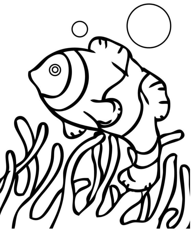 150 Coral Coloring Pages Printable 32