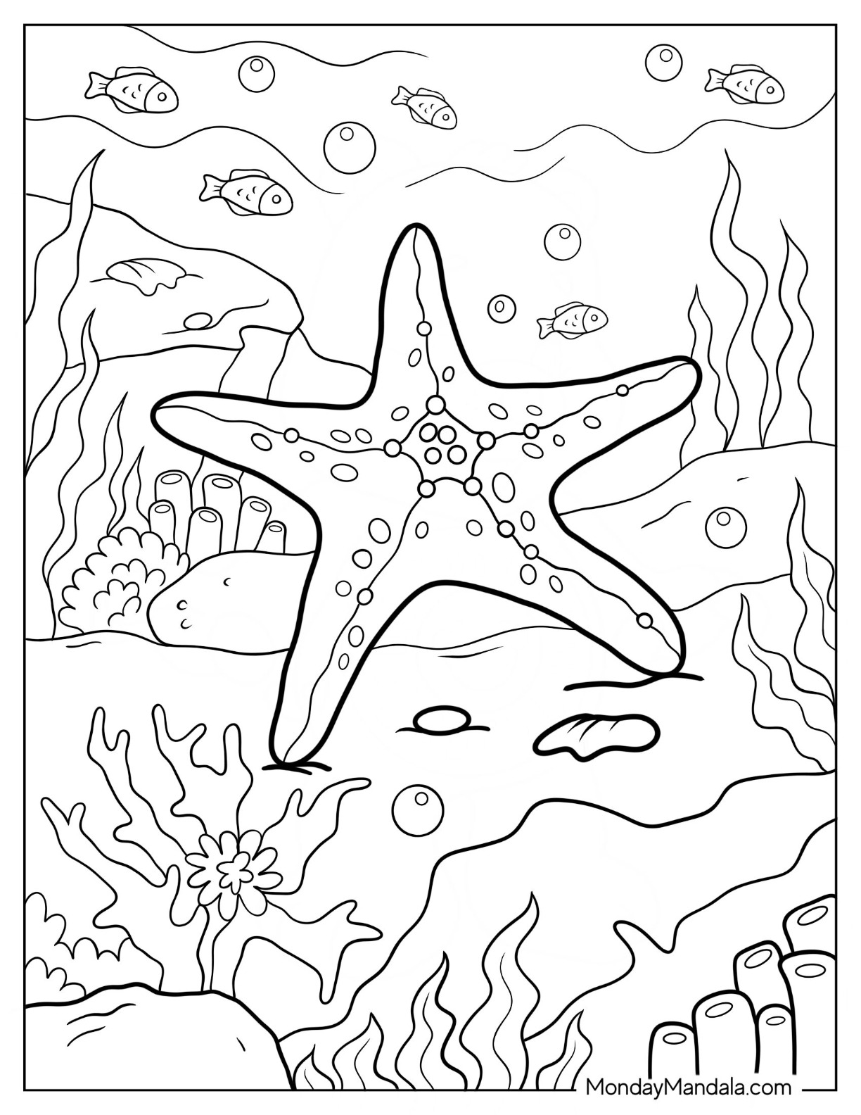 150 Coral Coloring Pages Printable 34