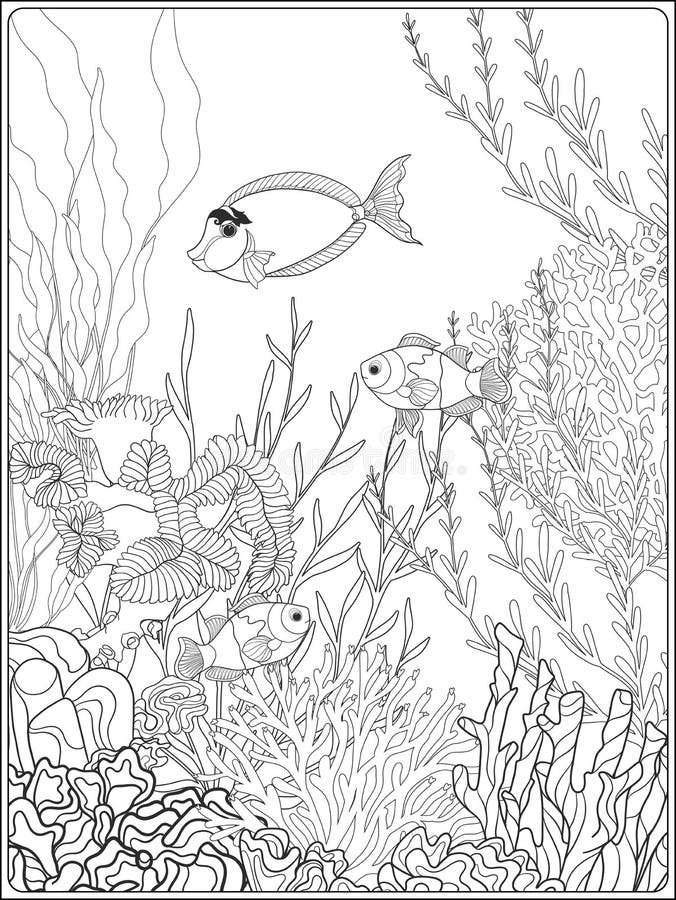 150 Coral Coloring Pages Printable 36