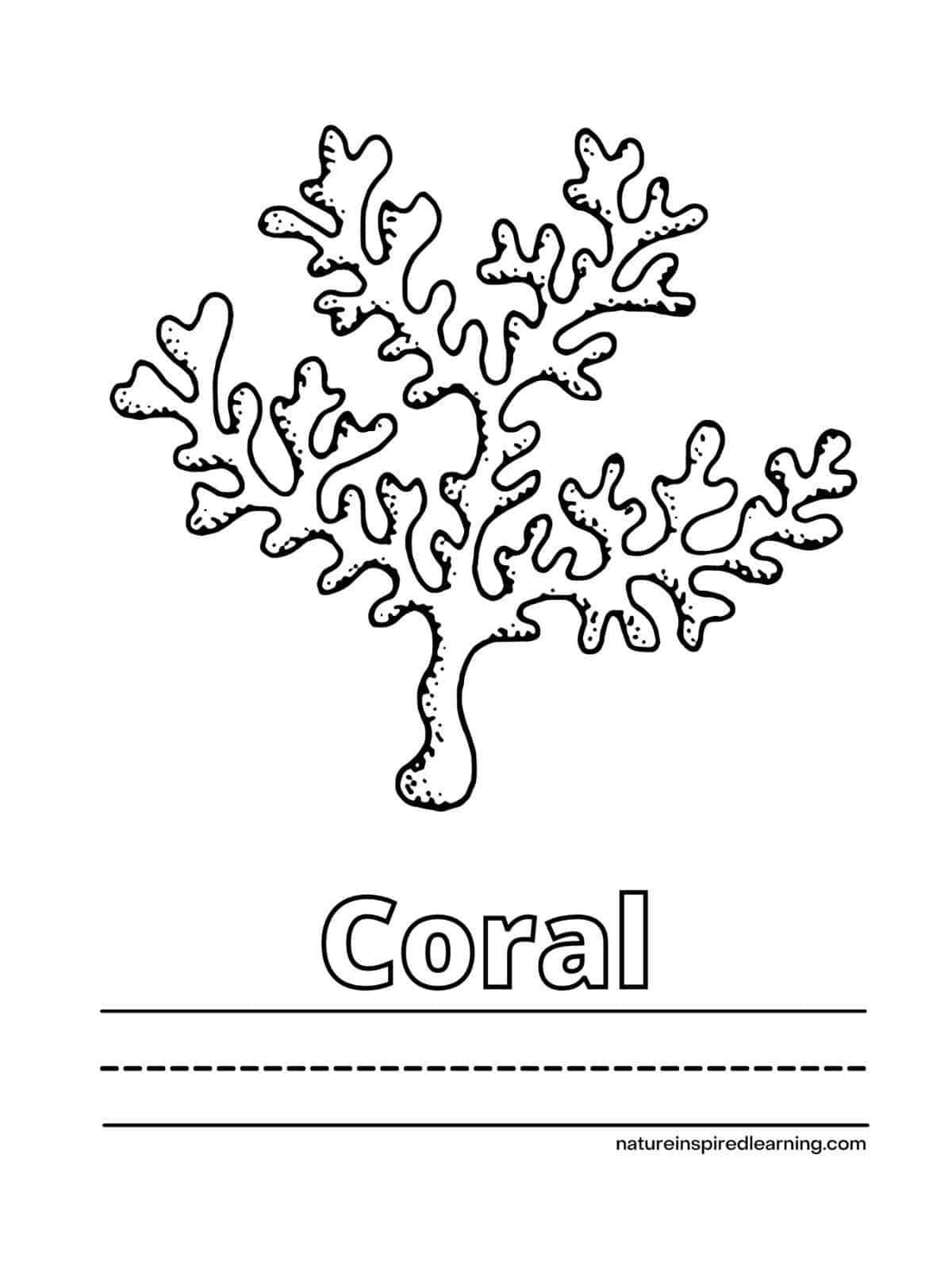 150 Coral Coloring Pages Printable 40