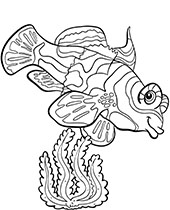 150 Coral Coloring Pages Printable 45