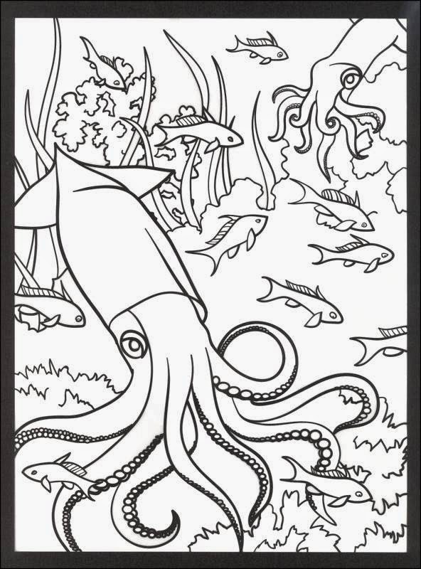 150 Coral Coloring Pages Printable 48