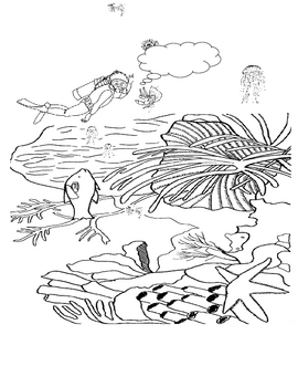 150 Coral Coloring Pages Printable 60