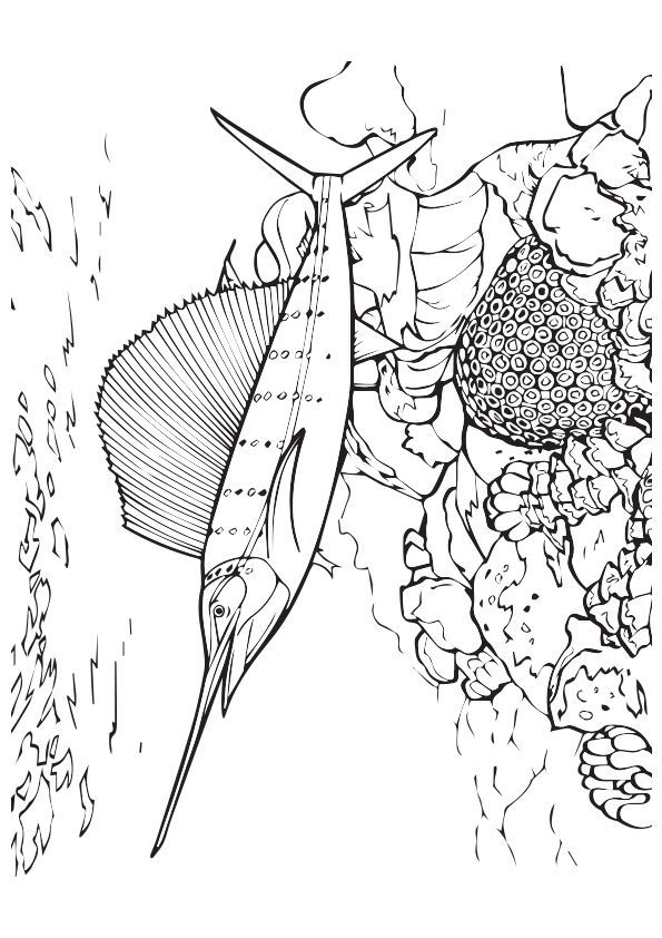 150 Coral Coloring Pages Printable 65