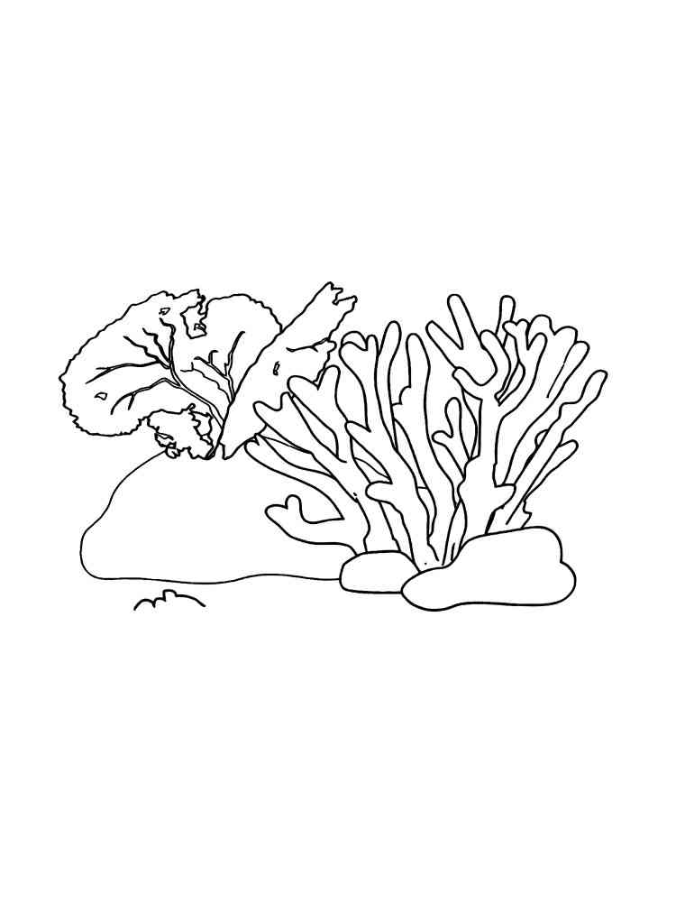 150 Coral Coloring Pages Printable 73