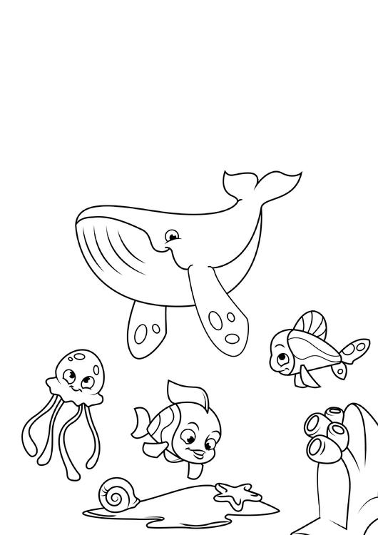 150 Coral Coloring Pages Printable 80