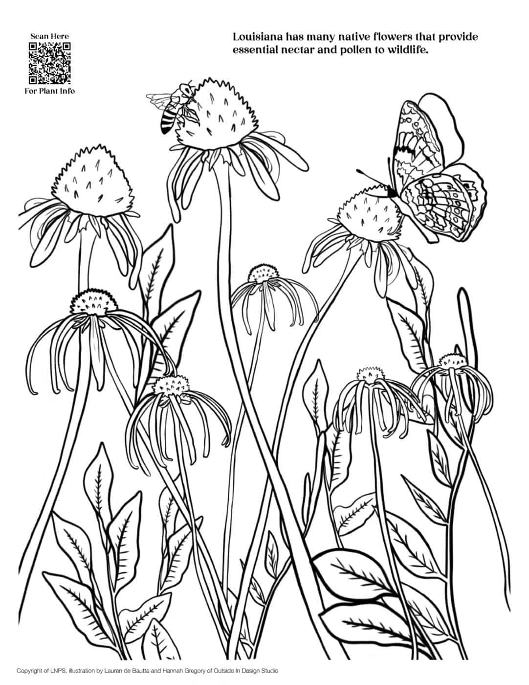 coral coloring pages printable jpg