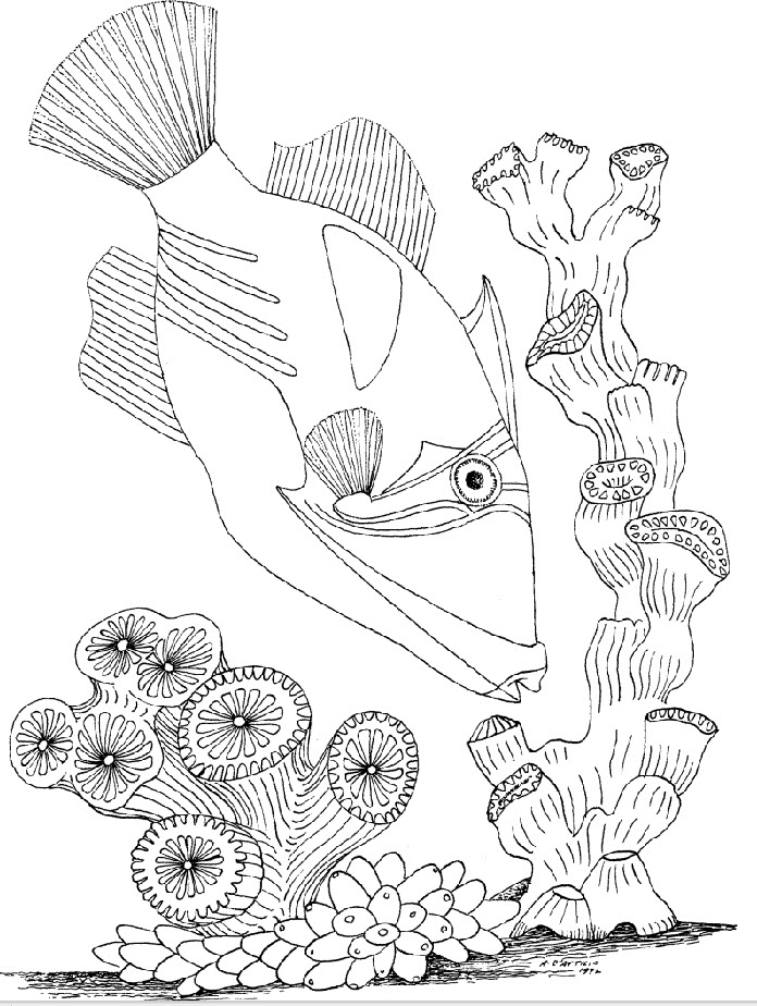 150 Coral Coloring Pages Printable 87