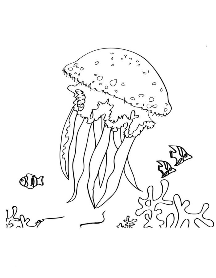 coral coloring pages printable jpg