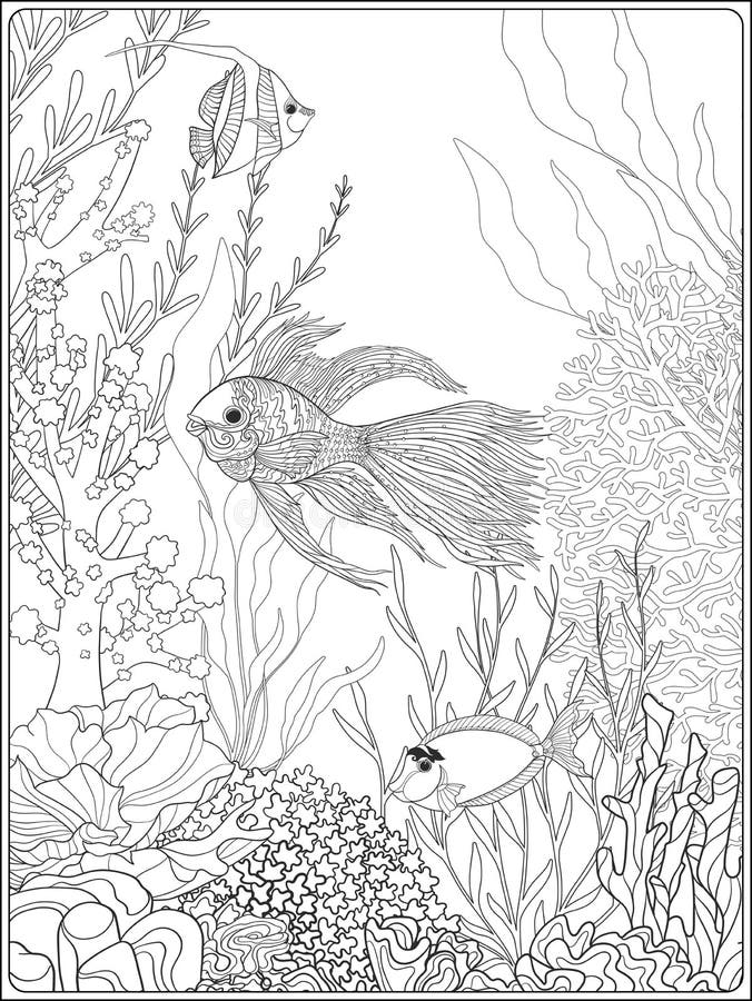 150 Coral Coloring Pages Printable 92