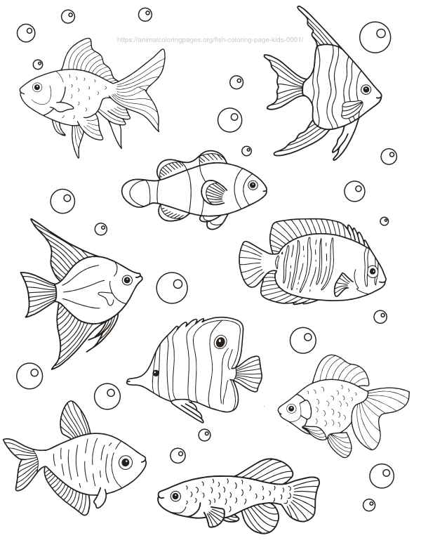 coral coloring pages printable jpg