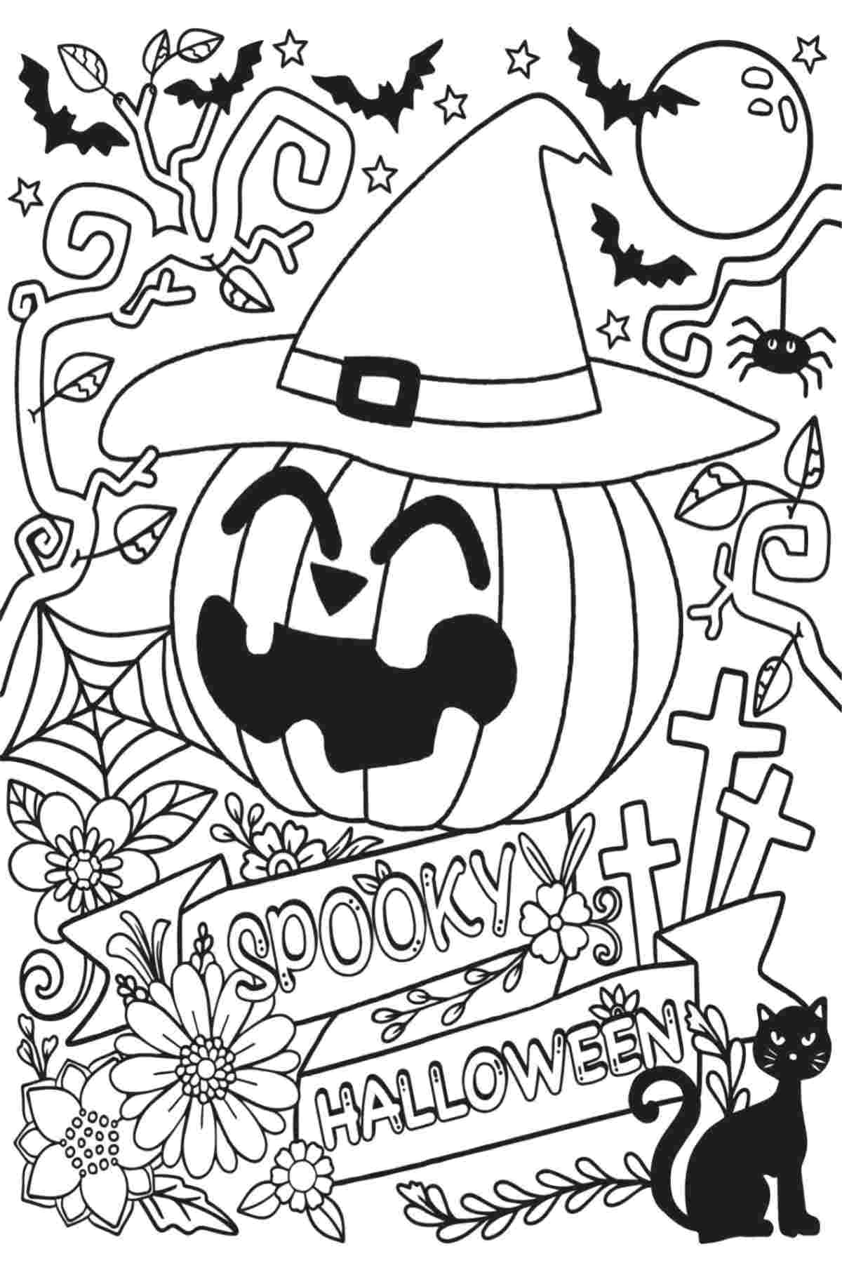 180+ Bat Coloring Page Ideas 127