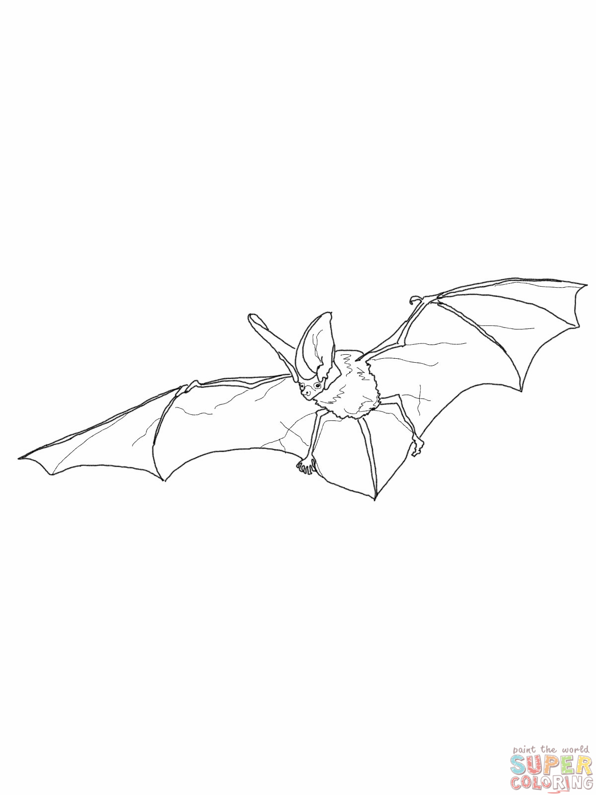 180+ Bat Coloring Page Ideas 174