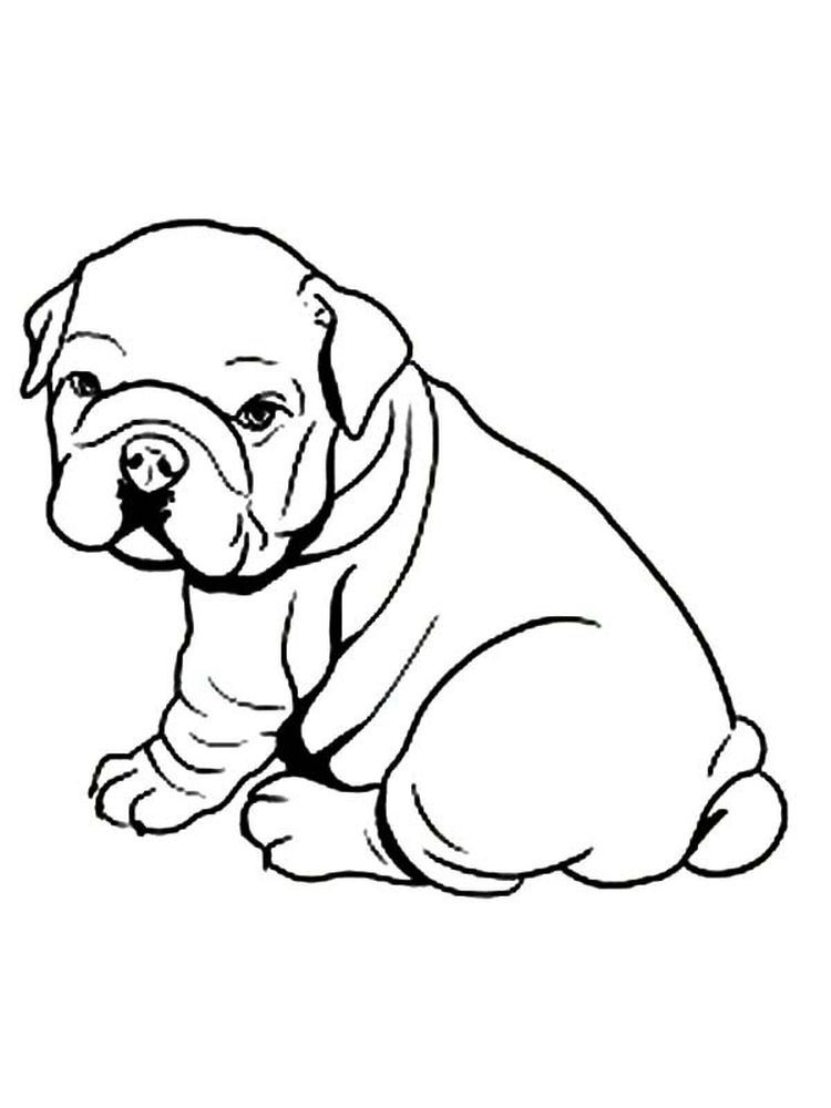 112 French Bulldog Coloring Pages Printable 101