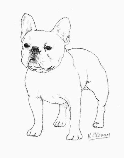 112 French Bulldog Coloring Pages Printable 102