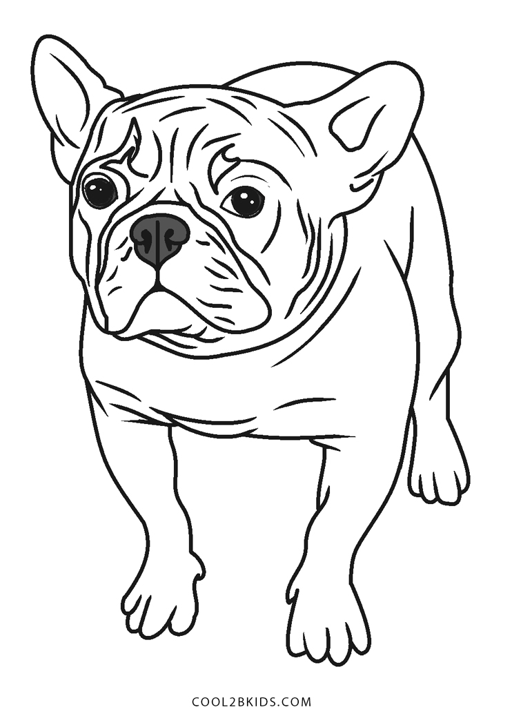 112 French Bulldog Coloring Pages Printable 104