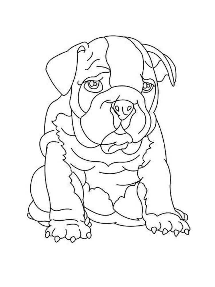 112 French Bulldog Coloring Pages Printable 110