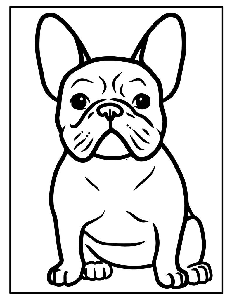 112 French Bulldog Coloring Pages Printable 15