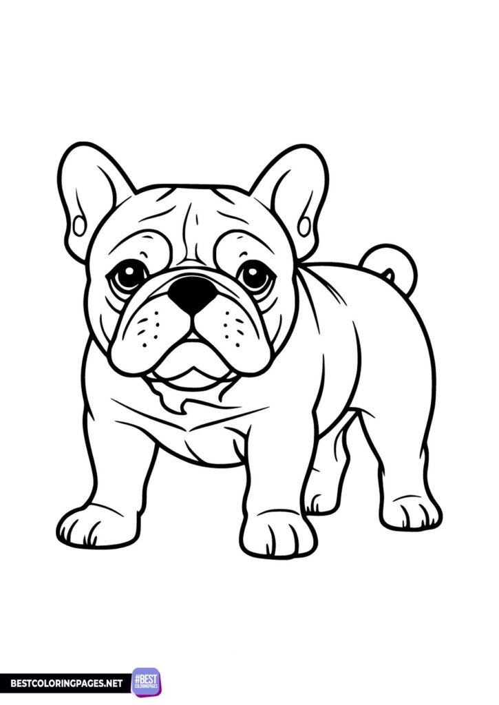 french bulldog coloring pages printable jpg