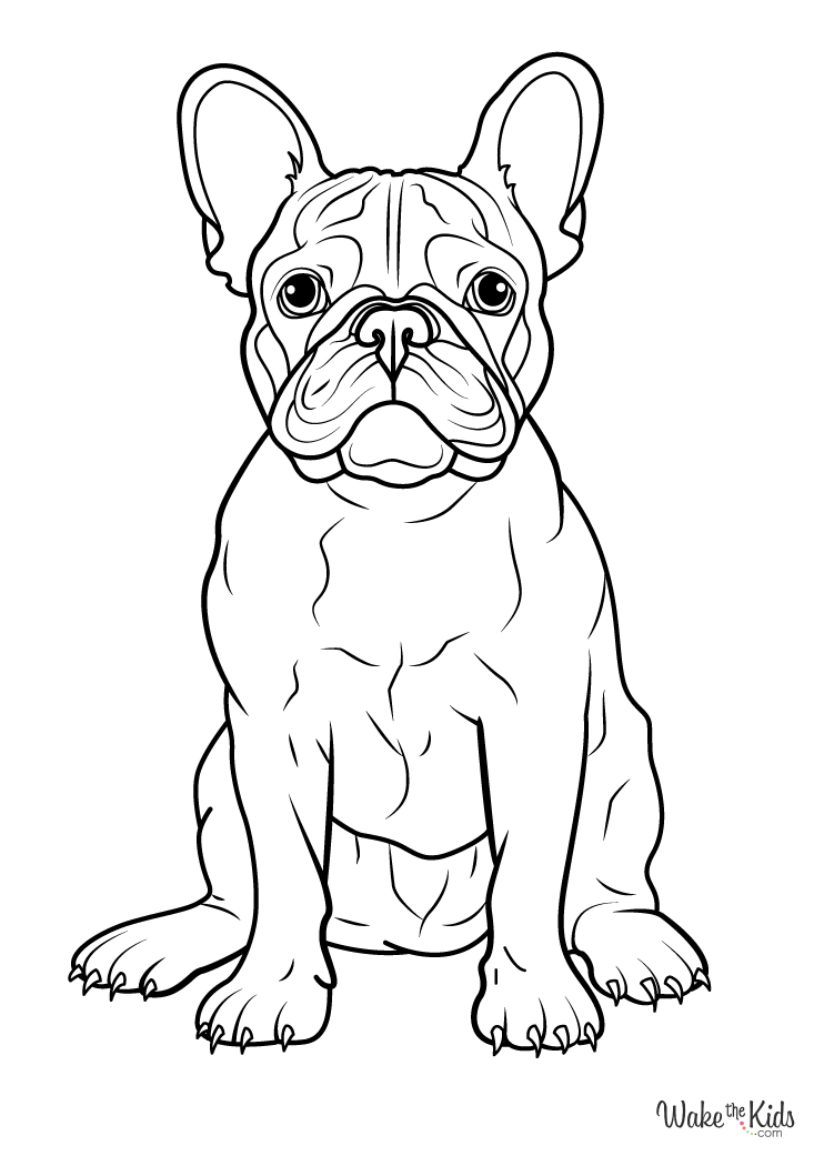 french bulldog coloring pages printable jpg