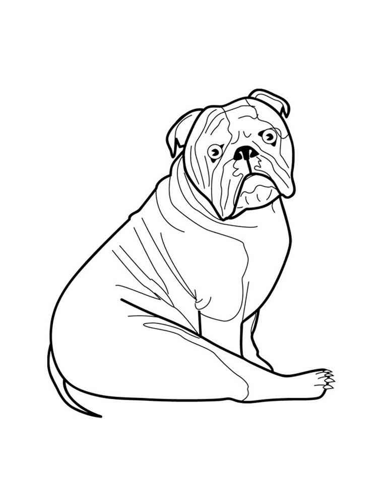 french bulldog coloring pages printable jpg