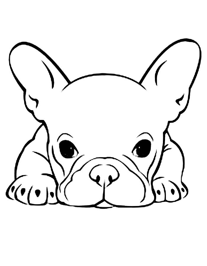 french bulldog coloring pages printable jpg